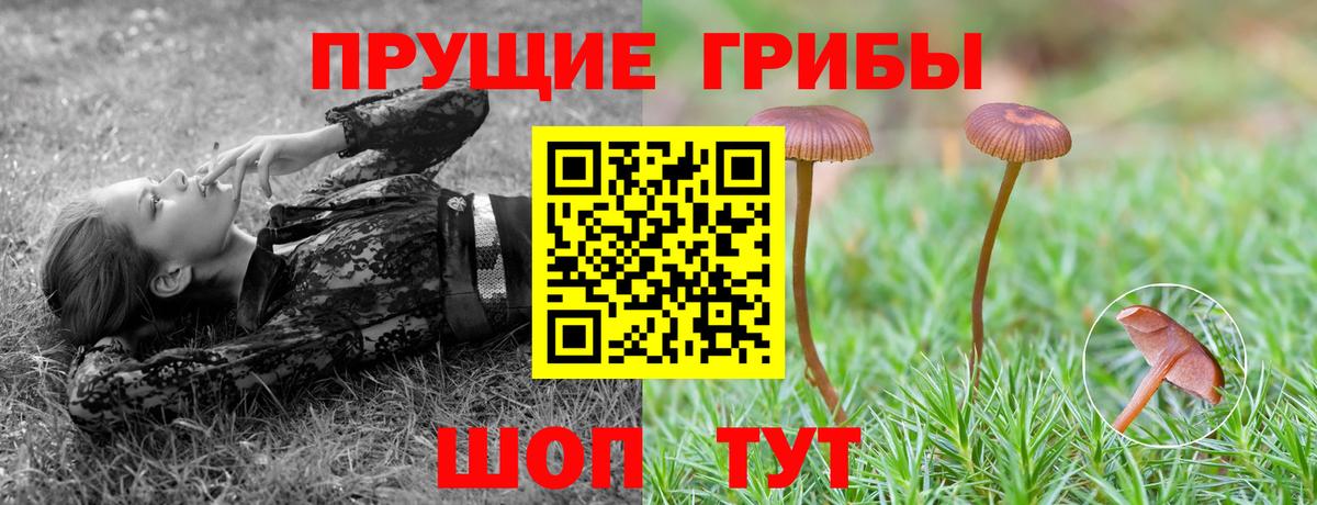 Самара  Галлюциногенные грибы Magic Shrooms  Вход с VPN 